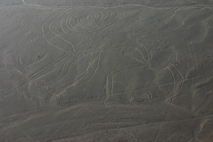 El Mono, lignes de Nazca