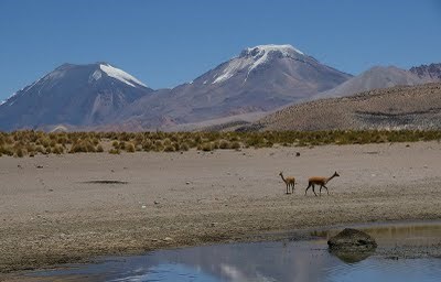 Bolivie Salar Sud Lipez ALPA-K