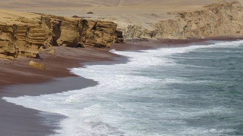 réserve de Paracas