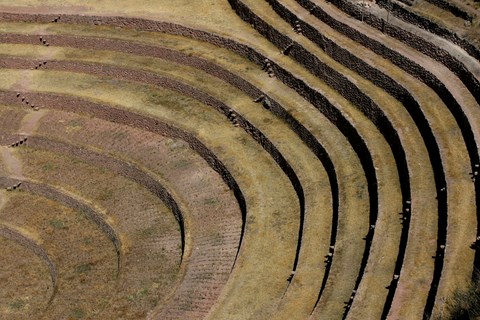 Ruine de Moray Cuzco