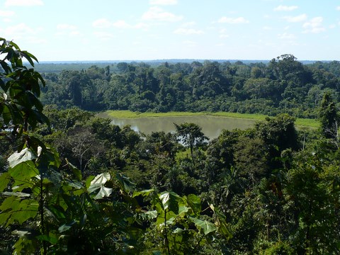 Amazonie Puerto Maldonado