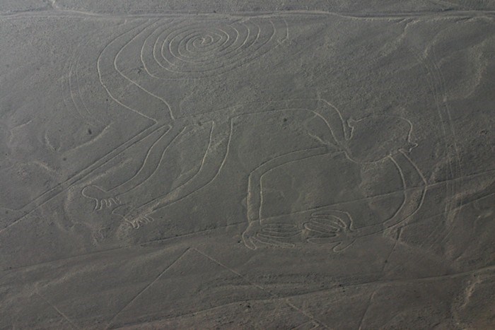 El Mono, lignes de Nazca