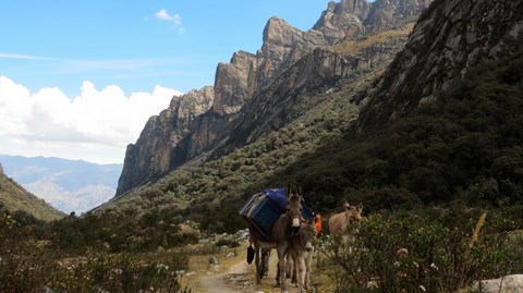 trekking vallée Ishinca