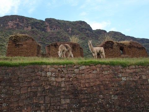 Huchuy-Qosqo avec ALPA-K