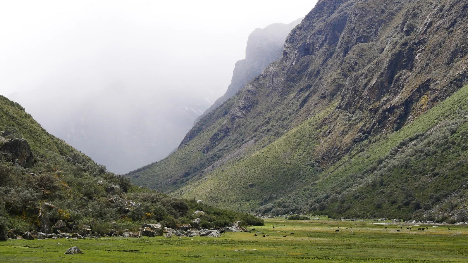 Quilcayhuanca